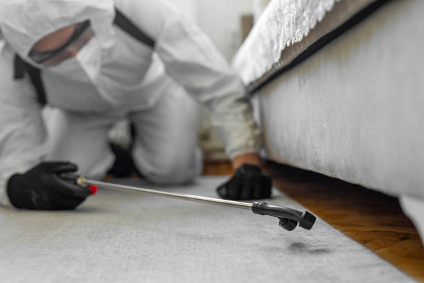 Professional Bed Bug Control technician working in Sherwood, OH