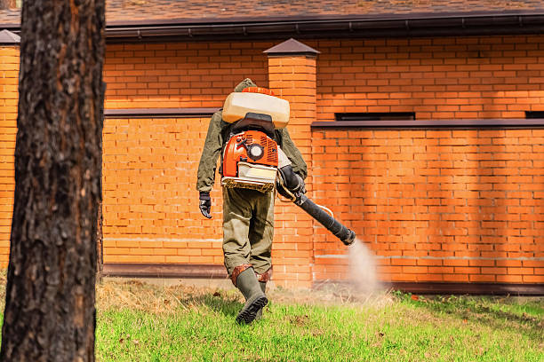 Trusted Bed Bug Control service in Sherwood, OH - Nex Pest Control